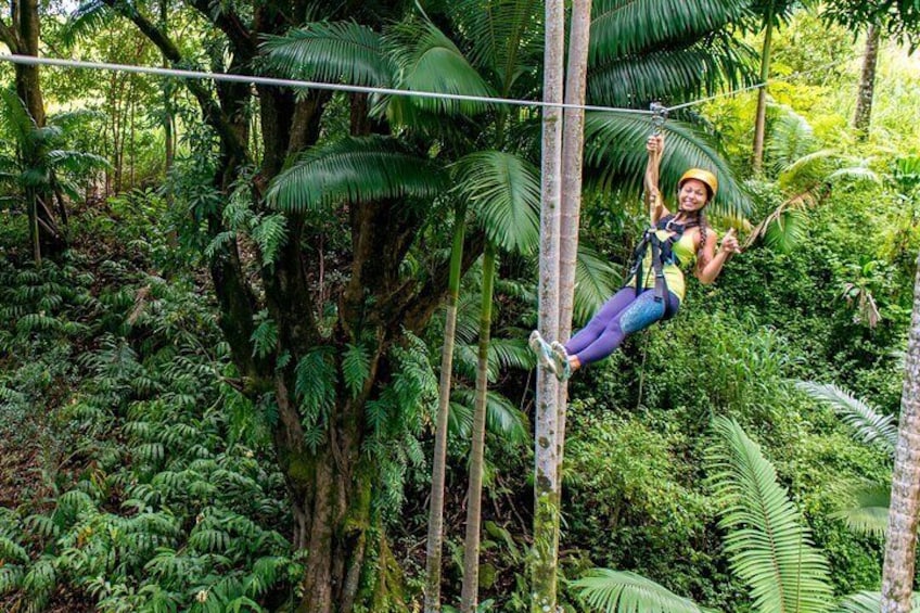 Big Island Zipline Adventure - 2 1/2 hours