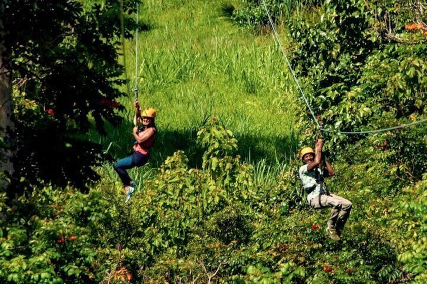 Big Island Zipline Adventure - 2 1/2 hours