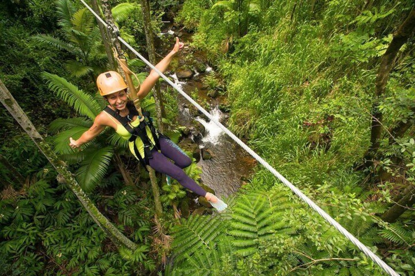 Big Island Zipline Adventure - 2 1/2 hours