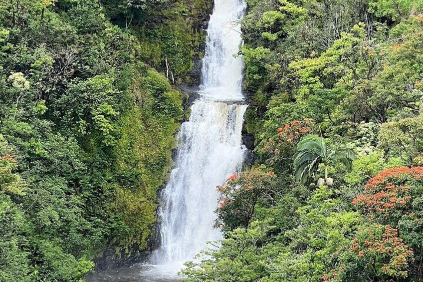 Big Island Zipline Adventure - 2 1/2 hours