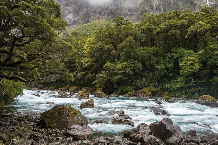Premium Milford Sound Small Group Tour, Cruise & Picnic Lunch from Queenstown