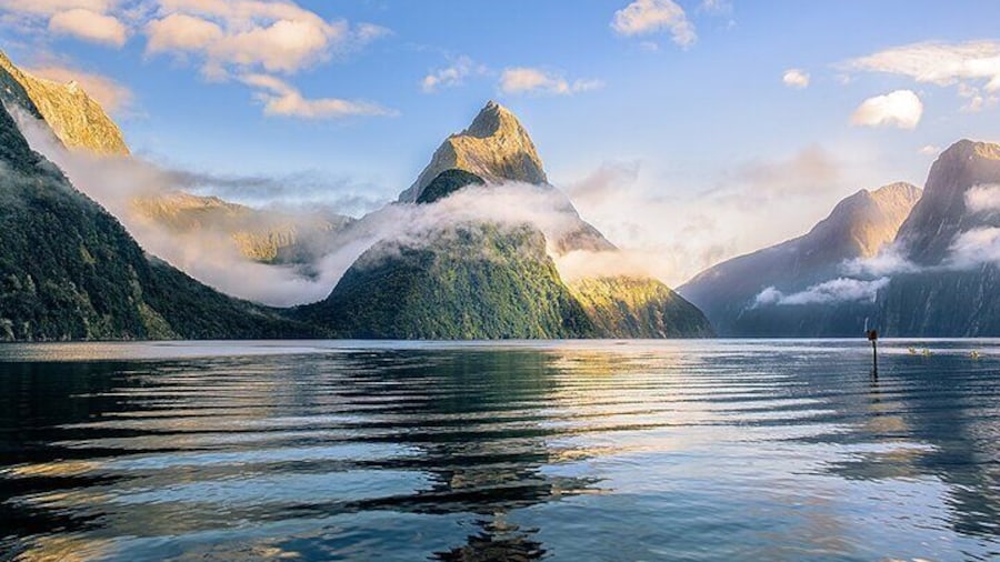 Premium Milford Sound Small Group Tour, Cruise & Picnic Lunch from Queenstown