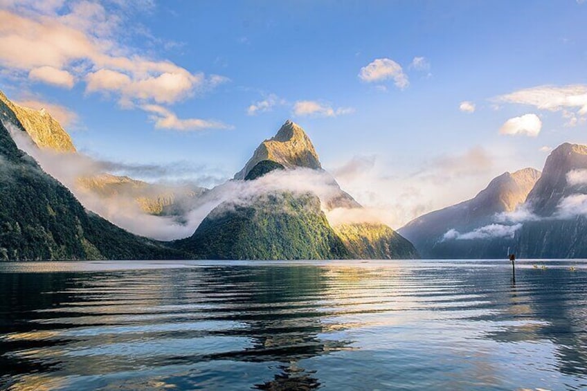 Premium Milford Sound Small Group Tour, Cruise & Picnic Lunch from Queenstown