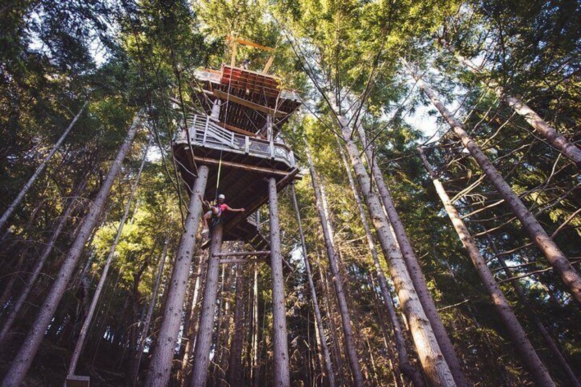Our treehouses - hang out on, or jump off of!
