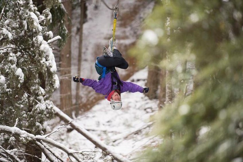 The Kea tour features the steepest tree-to-tree zipline in the world