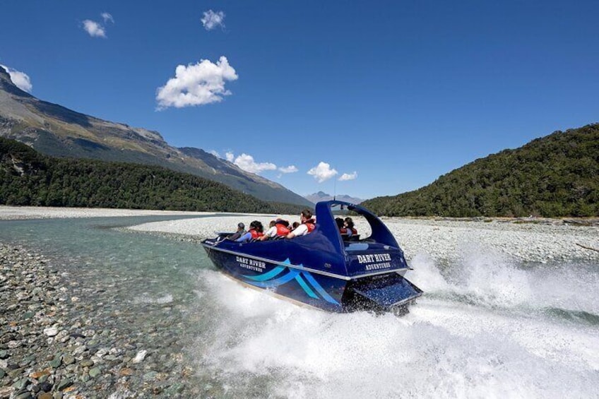 Dart River Jet Boat and Wilderness Experience