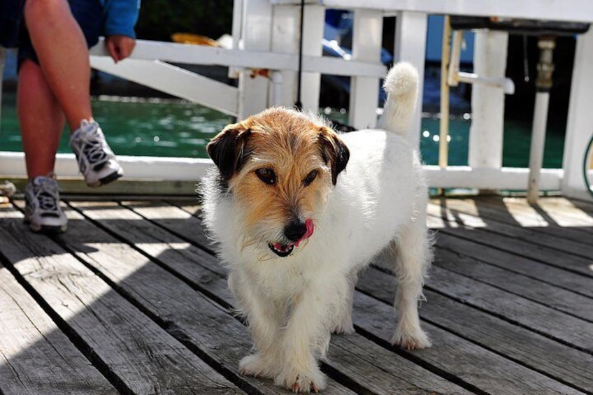 Happy resident waiting for a treat