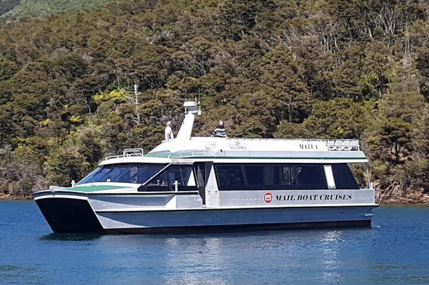 Half-Day Cruise in Marlborough Sounds from Picton