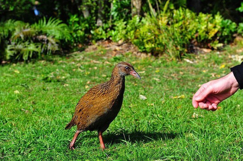 Friendly Weka