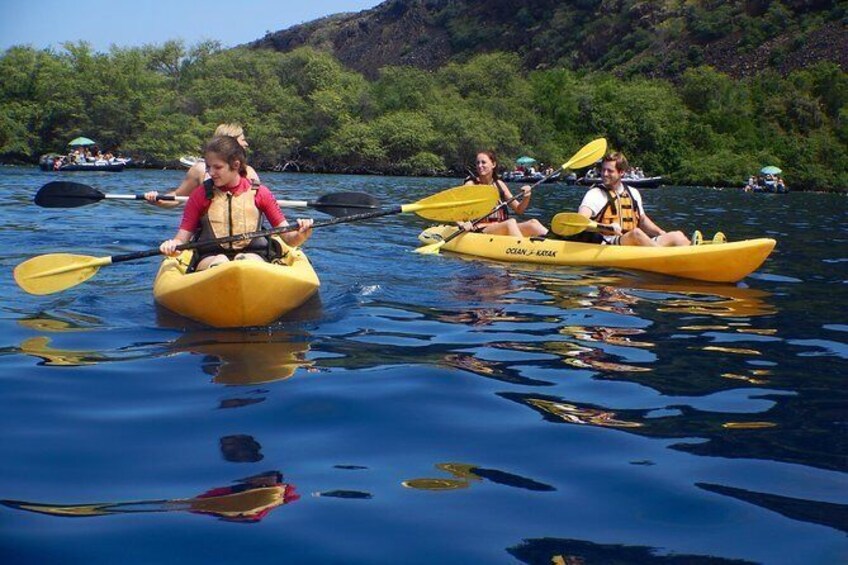 ADVENTURES IN PARADISE MORNING KAYAK & SNORKEL - Kealakekua Bay & Captain Cook