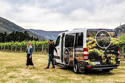 Gourmet Food, Wine and Cheese Tour from Queenstown