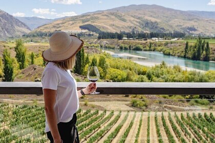 Tour de comida y vino gourmet: recorrido por cuevas, queso, almuerzo y más.