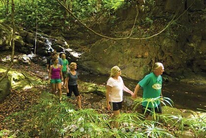 Abenteuertour mit dem Kajak zu den Wasserfällen im Hidden Valley und mit de...