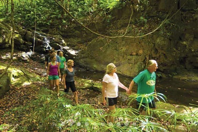 Take a jungle hike to waterfalls and ropeswings...