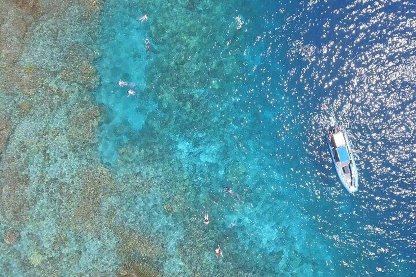 Kealakekua Bay Afternoon Snorkel to Captain Cook Monument