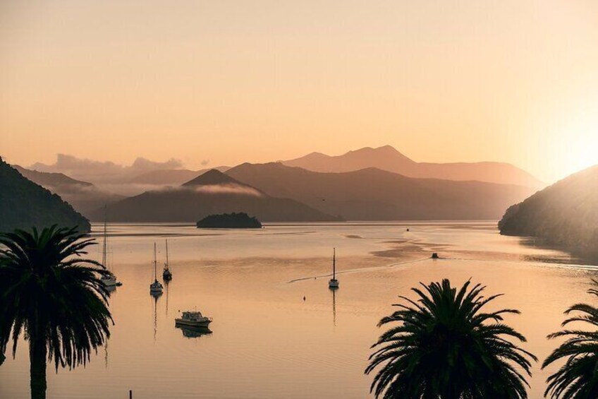 Marlborough Sounds Greenshell Mussel Tasting Cruise