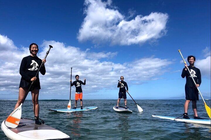 standing surfboard with paddle