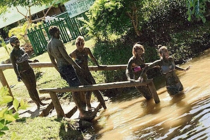 Mud Pools-Nadi privata terapeutiska pooler, trädgårdar, tempel, marknad & s...