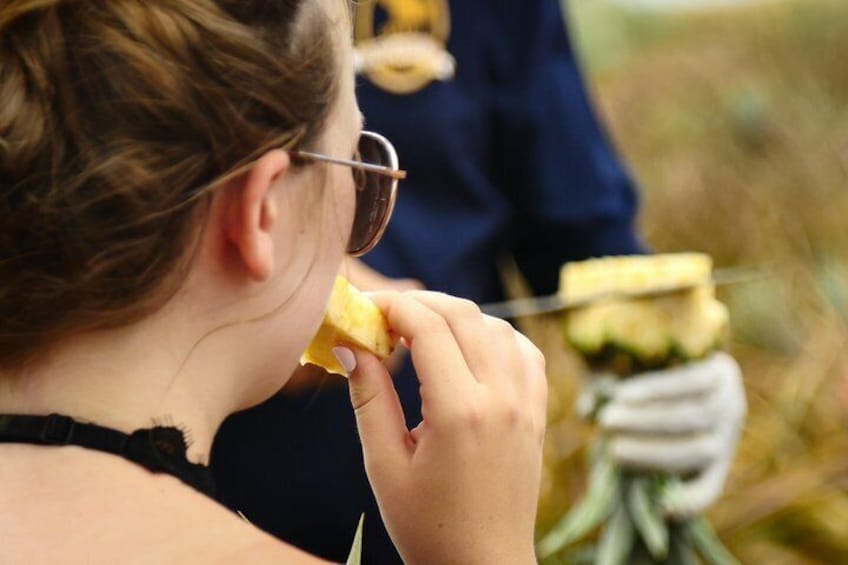 Maui Pineapple Tour - 1.5 Hour Farm Tour in Haliimaile