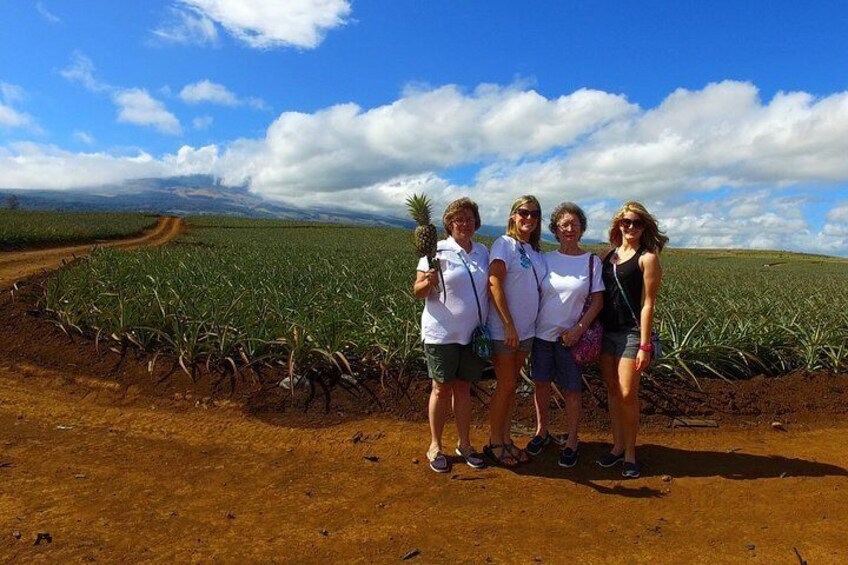 Maui Pineapple Tour