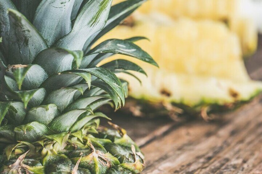 Maui Pineapple Tour - 1.5 Hour Farm Tour in Haliimaile