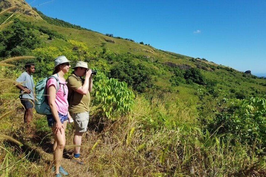 Nadi Half-Day Tour