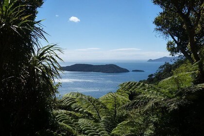 Santuario de aves de Motuara Island y Crucero Ship Cove de Picton