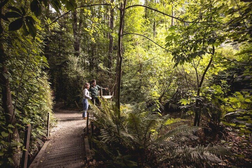 Kiwi Park Queenstown Admission