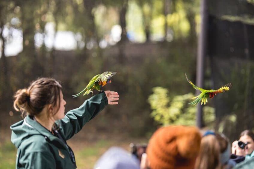 Kiwi Park Queenstown Admission