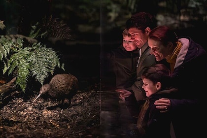 Admission au parc ornithologique des kiwis