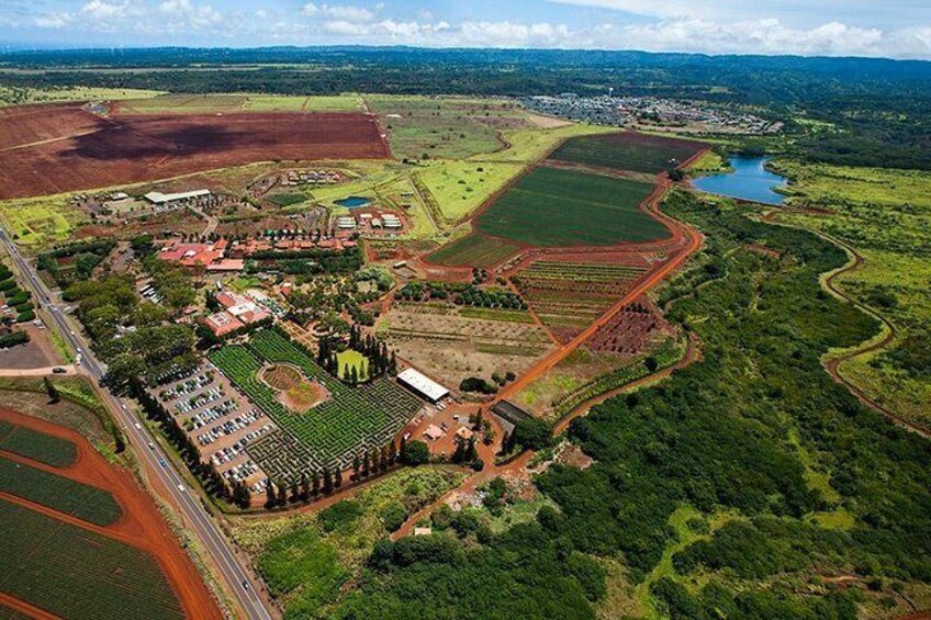 Dole Plantation on the North Shore