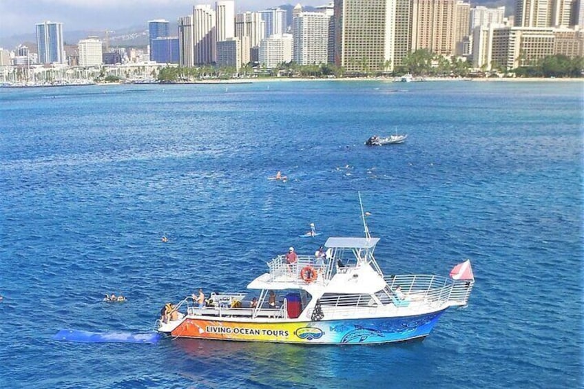 Turtle Canyons Snorkel Excursion