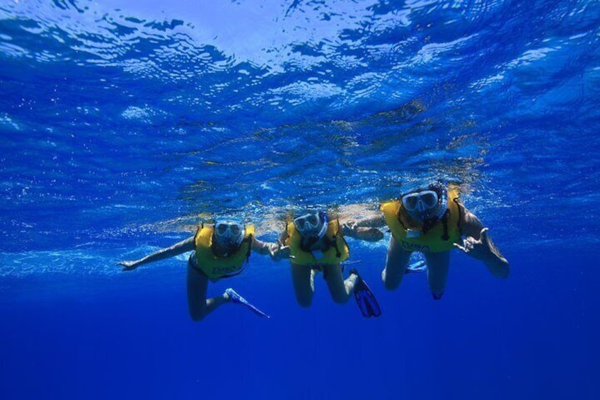 Snorkeling Turtle Canyons
