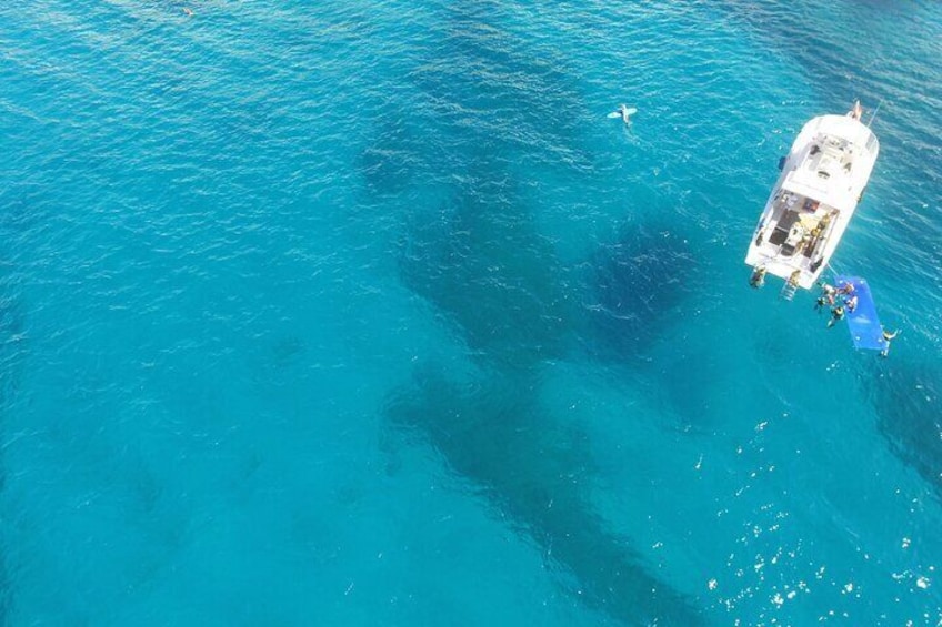 Turtle Canyons Snorkel Excursion