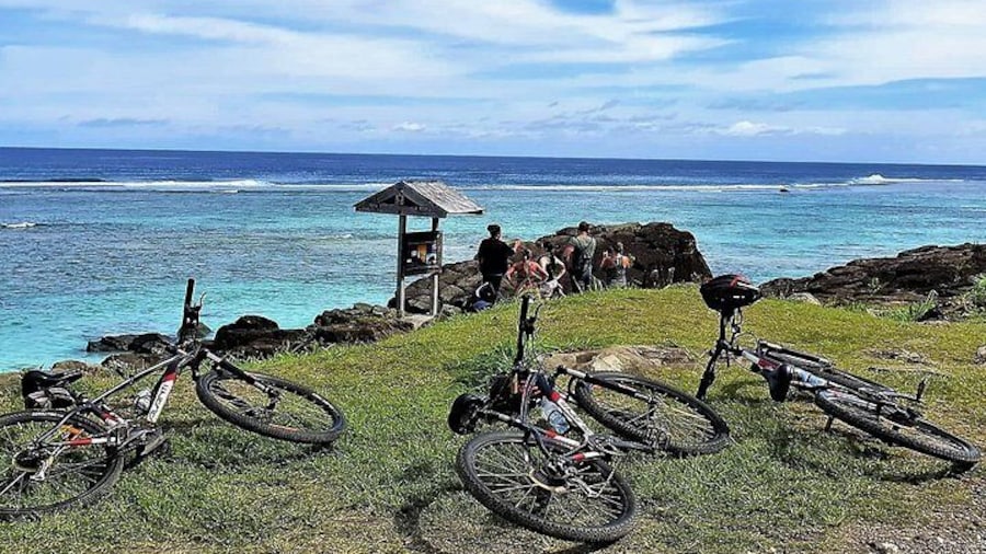 'Discover' Rarotonga Cycling Tour with Lunch
