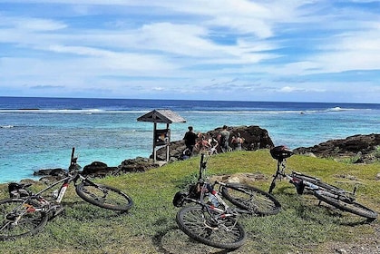 'Discover' Rarotonga Cycling Tour with Lunch
