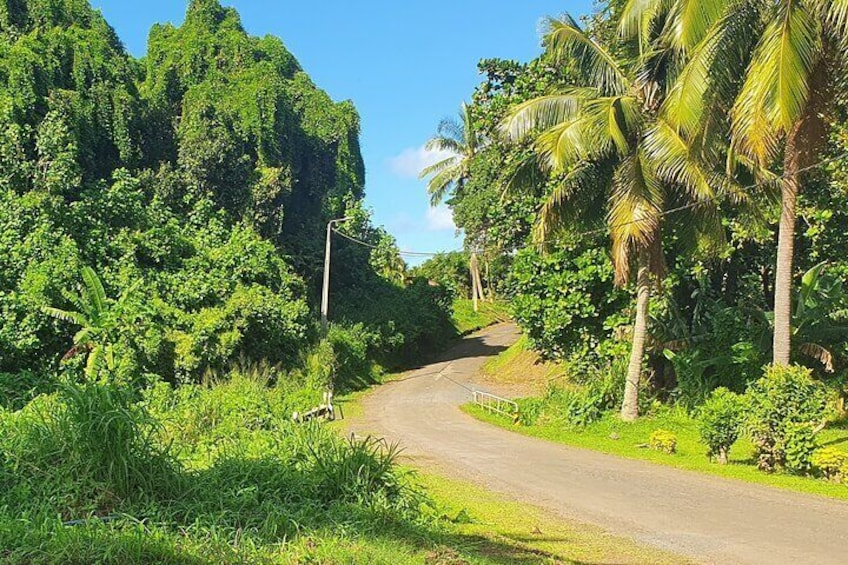 Gently sloping area of the tranquil back road / Ara Metua