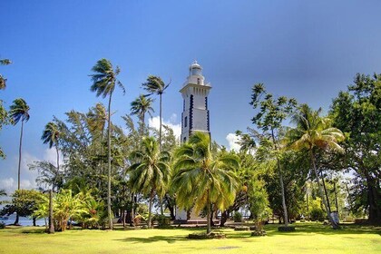 Tahiti Half Circle Island Tour by Bus