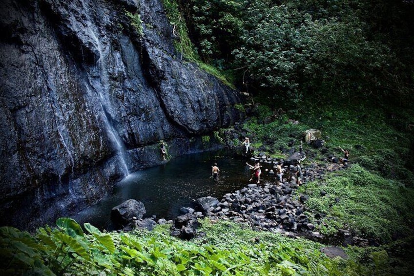 Enjoy Moorea Day Tour