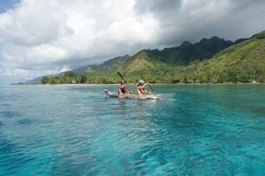 Moorea Lagoon Tour by Transparent Kayak