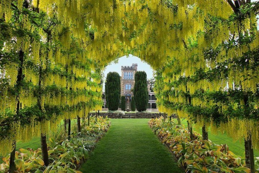 Skip the Line: Larnach Castle & Gardens Admission Ticket