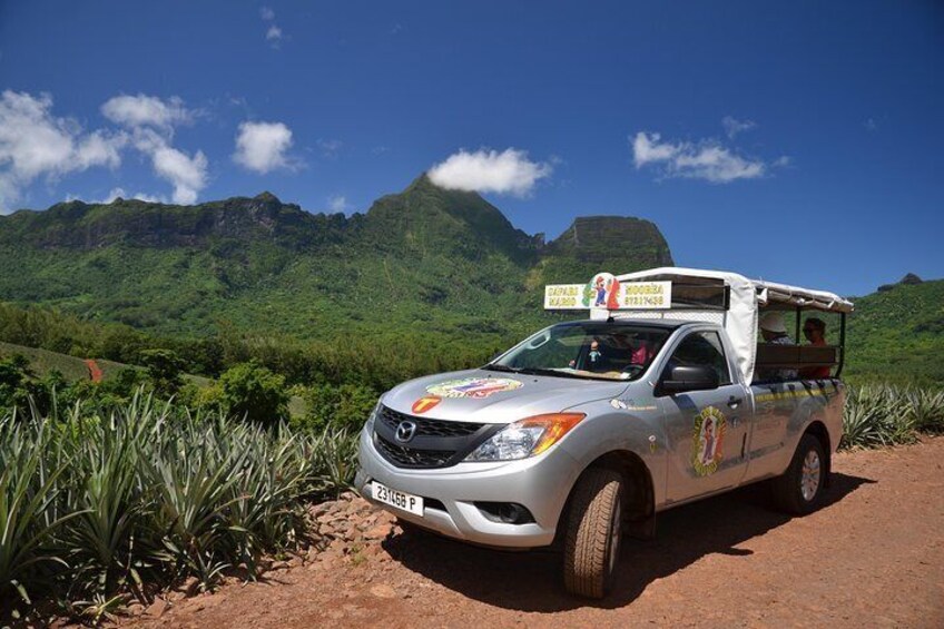 Moorea 4WD Tour