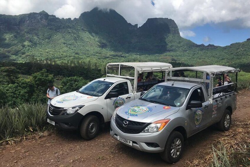 Private Morning Moorea 4WD Tour with Champagne