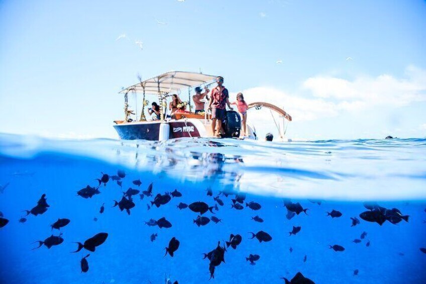 Bora Bora Combo Tour: Lagoon Cruise and 4WD Tour Including Snorkeling