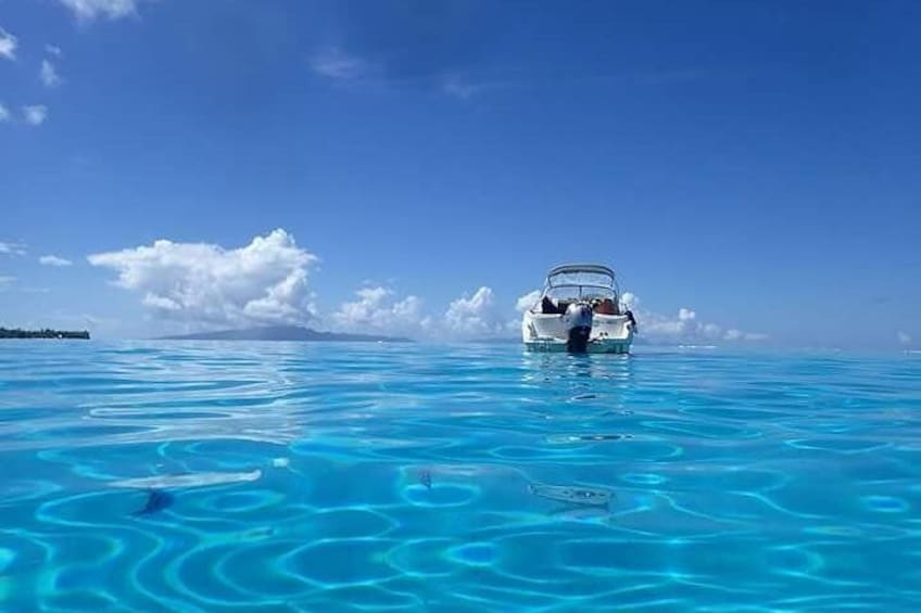 Full-Day Private Boat Tour of Bora Bora Lagoon with Snorkel