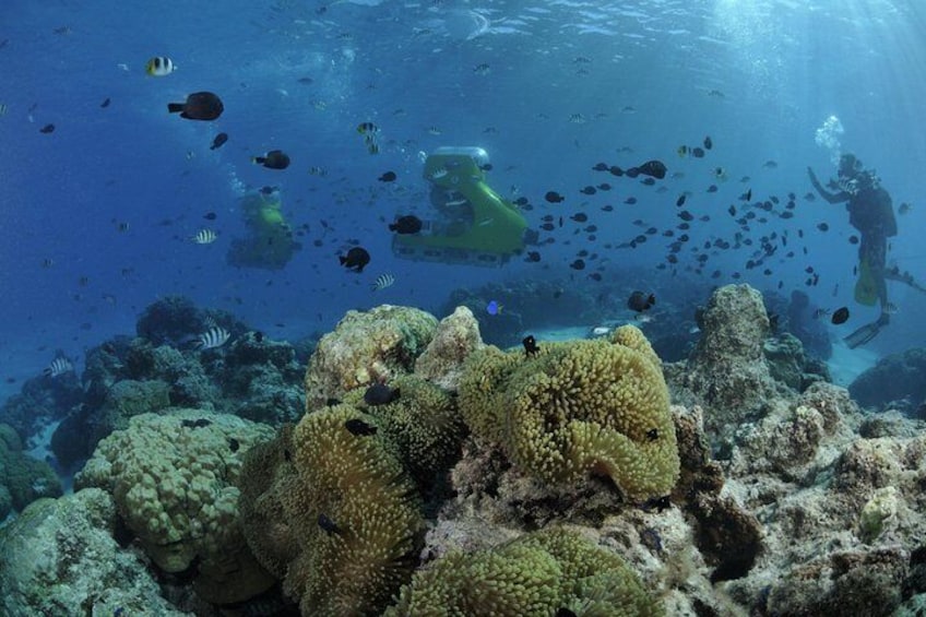 Private Tour: Underwater Scooter Bora Bora