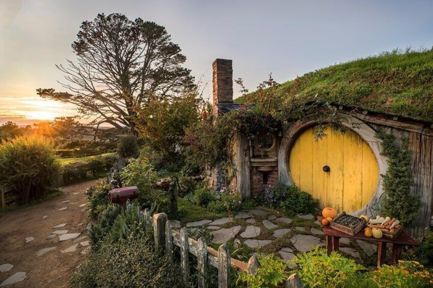 Hobbiton Movie Set and Waitomo Caves Full Day Tour departing Auckland