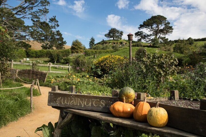 Hobbiton