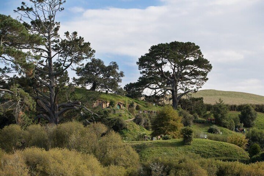 Hobbiton movie set