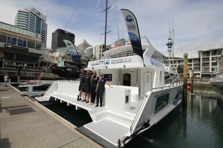 Departing from Auckland's Viaduct Harbour